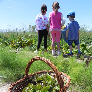 Gestió d’activitats del Parc Agrari del Baix Llobregat