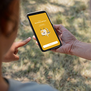 APP «El camí del gat salvatge»