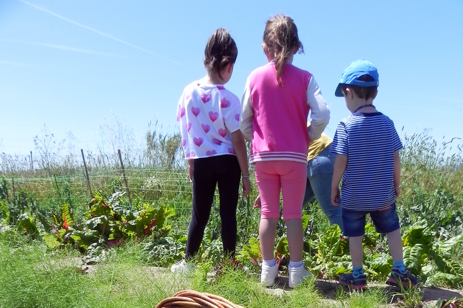 Parc Agrari Baix Llobregat 3