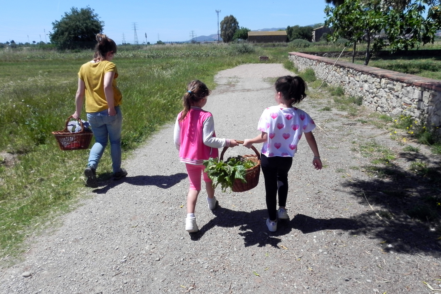 Parc Agrari Baix Llobregat 1