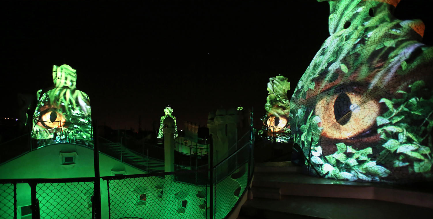 La Pedrera.
Night experience