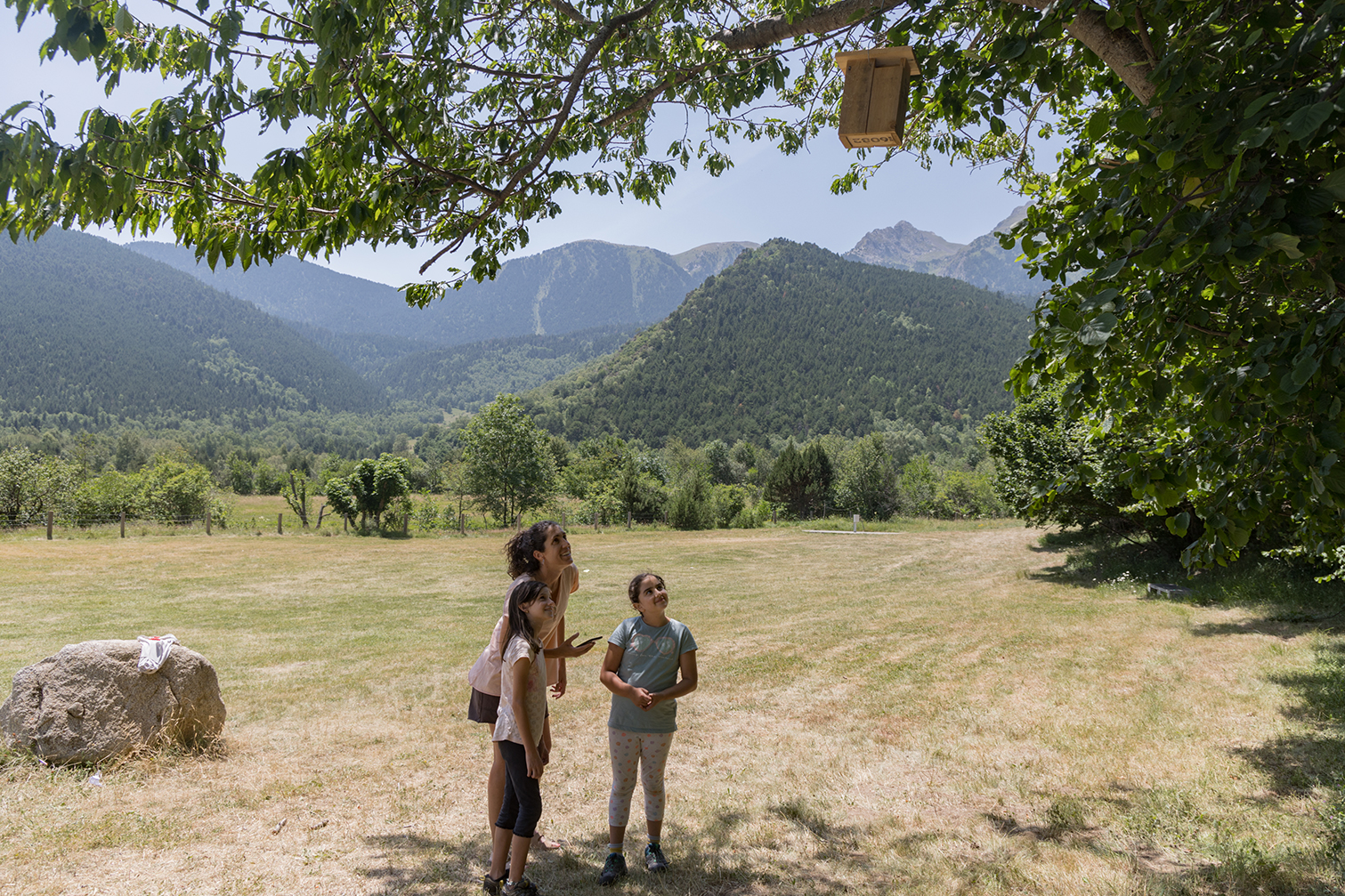 El camí del gat salvatge 2